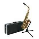 Sax alto ssa-ax818qsn - sebastian