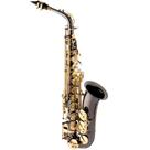Saxofone Alto Eagle SA500 BG Preto Onix Com Chaves Laqueadas Em Mib Com Case Luxo Saxofone Alto Eagle SA500 BG Preto Onix Com Chaves Laqueadas Em Mib Com Case Luxo