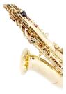 Saxofone Alto Inion Laqueado Com Case