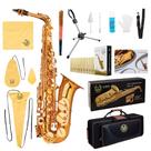 Saxofone Alto Rhythm Eb com estojo, kit de limpeza e suporte