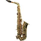 Saxofone Alto SFT-6430L - Shelter