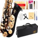 Saxofone GLORY E Flat Alto Black Laquer com 11 palhetas e estojo