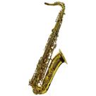 Saxofone Tenor Michael Laqueado Novo