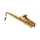 Saxofone Tenor Michael Wtsm30n Laqueado Cor:Dourado