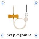 Scalp de Segurança para Coleta a Vácuo 25g (C/1 Und) - Labor Import