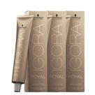 Schwarzkopf Igora Absolutes 3x 6/60 Louro Escuro