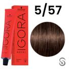 Schwarzkopf Igora Royal Coloração 5/57 Castanho Claro Dourado Cobre 60ml