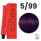 Schwarzkopf Igora Royal Coloração 5/99 Castanho Claro Violeta Extra 60ml