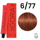 Schwarzkopf Igora Royal Coloração 6/77 Louro Escuro Cobre Extra 60ml