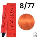 Schwarzkopf Igora Royal Coloração 8/77 Louro Claro Cobre Extra 60ml