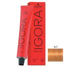 Schwarzkopf Igora
