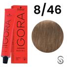 Schwarzkopf Royal Beges 8-46 Louro Claro Bege Marrom 60g