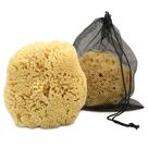 Sea Sponge Constantia Man Extra Large 6-7 para homens