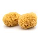 Sea Sponge Neptune Caribbean Sea, pacote com 2 unidades, médio de 13 a 15 cm
