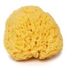 Sea Sponge Paradise Goods 12,7 cm, suavemente áspero, amarelo