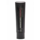 Sebastian Penetraitt Shampoo 250ml