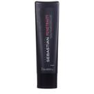 Sebastian Penetraitt - Shampoo 250ml