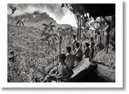 Sebastião Salgado. Amazônia. Poster Yanomani Men