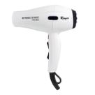 Secador Roger Speed Ionic Pro 8904