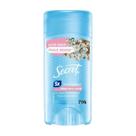 Secret Powder Protect Cotton Fresh Defense Invisible 73g