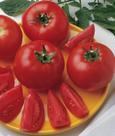 Seed Burpee 'Bush Early Girl' Hybrid Slicer Tomato 30 sementes