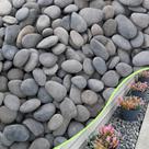 Seixos de praia mexicanos cinzentos CJGQ River Rocks de 2,5 a 5 cm