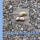 Seixos rolados - que segredo eles contam