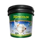 Selador Acrílico Pintecolor 16Lt Selador Acrílico Pintecolor 16Lt