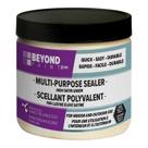 Selador Beyond Paint BP37 multiuso