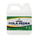 Selante Cola Pedra Fixador de Pedras para Jardim 5 Litros Ganhe um Brinde Surpresa Selante Cola Pedra Fixador de Pedras para Jardim 5 Litros Ganhe um Brinde Surpresa