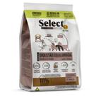 Select Cães Adultos Digestão Equil Med/Gr 15kg Select Cães Adultos Digestão Equil Med/Gr 15kg