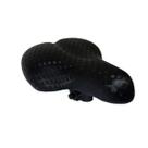Selim Banco 02 Molas Mod Extra Beach Neoprene Preto Carbono