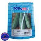 Semente Abobrinha Caserta 50g Topseed