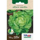 Semente Alface Aurélia Manteiga H016 Topseed