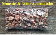 Semente Amor Agarradinho BRANCO Antigonon - kit com 200