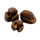 Semente Cafezinho Natural p/ Decoração