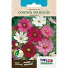 Semente Cosmea Sensação (Sortida) F055 Topseed