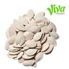 Semente de abobora com casca torrada e salgada premium 1kg
