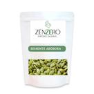 Semente De Abóbora Sem Casca Crua AA - 250g/500g