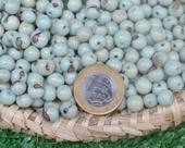 Semente de açaí para artesanato e biojoias