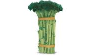 Semente de brocoli hanabi 2 mx - sakata
