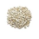 Semente de Cartamo - 1 Kg