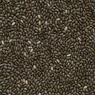 Semente de Chia 100g