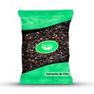 Semente de Chia I Envio Imediato