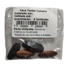Semente de Fava Tonka Cumaru Baunilha Amazônica com Laudo