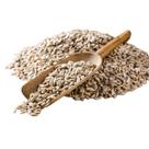 Semente de Girassol Pepita Crua 1Kg Nutrientes Nacional