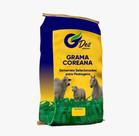 Semente De GRAMA COREANA 5 kg
