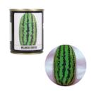 Semente de Melancia Fairfax Feltrin - 100g