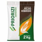 Semente de Milho Híbrido M274 Plantio Grão e Silagem 2kg Semente de Milho Híbrido M274 Plantio Grão e Silagem 2kg