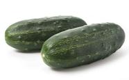 Semente de pepino campeiro 1 mx - sakata